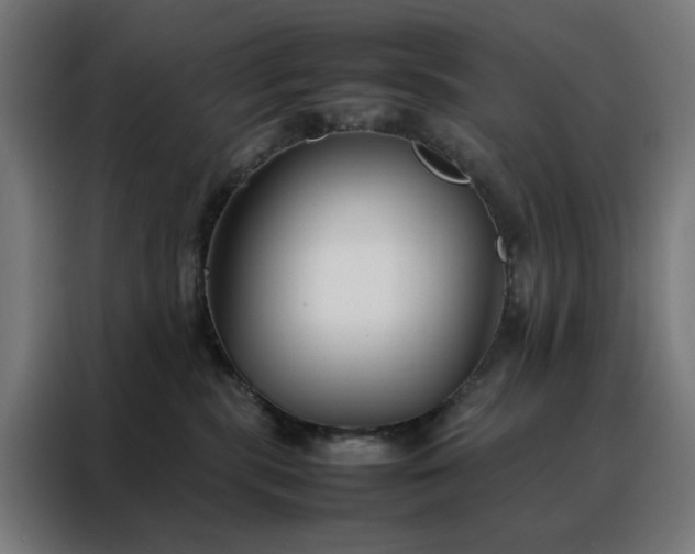 X0000088170283200705221628