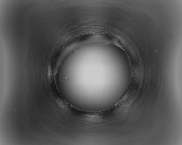 X0000088170284200705221628