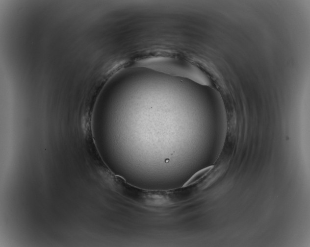 X0000088170285200705221628