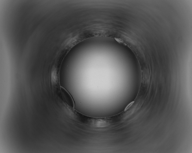 X0000088170287200705221628