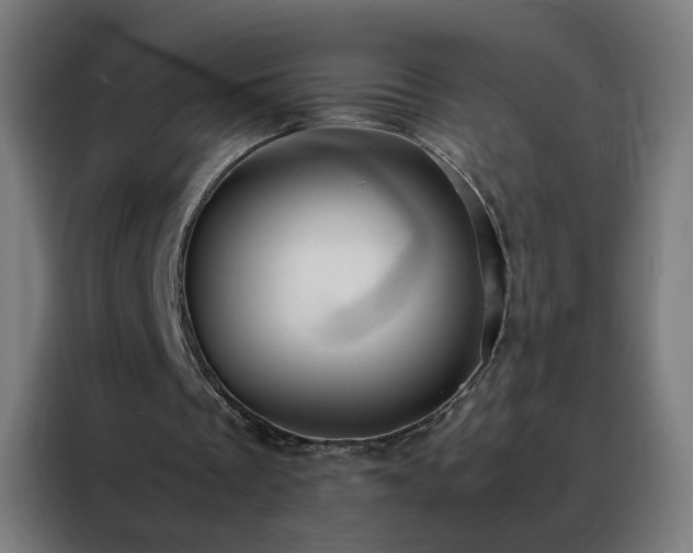 X0000088170289200705221627