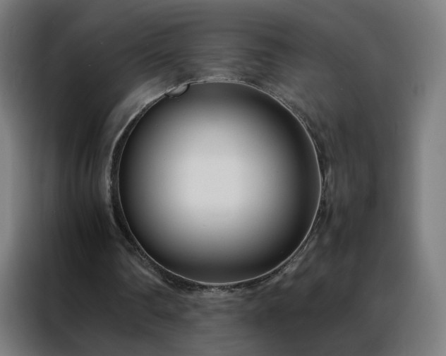 X0000088170290200705221627