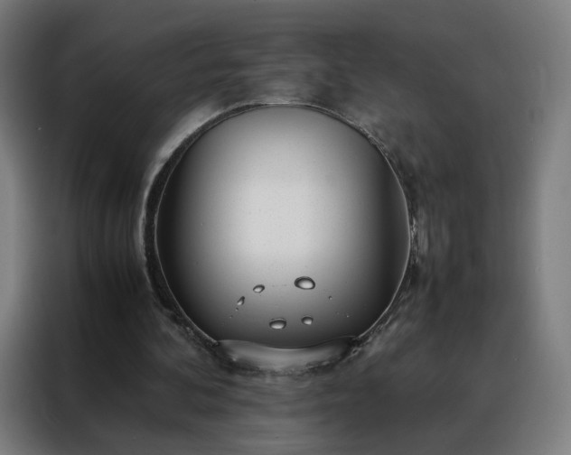 X0000088170292200705221627