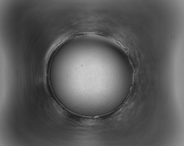 X0000088170293200705221627