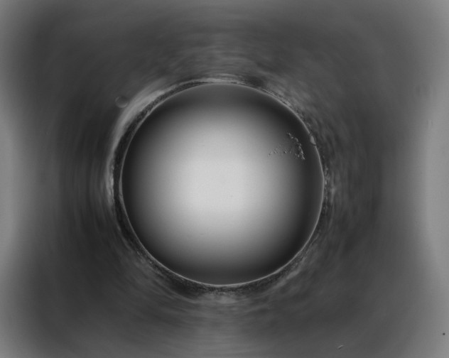 X0000088170294200705221627