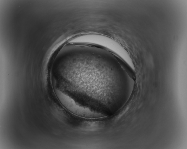 X0000088170295200705221627