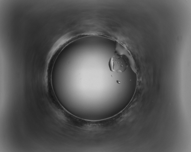 X0000088170296200705221627