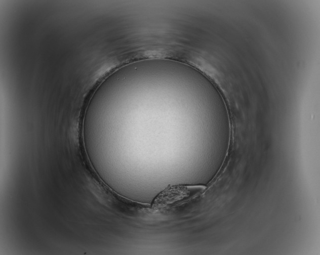 X0000088170297200705221627