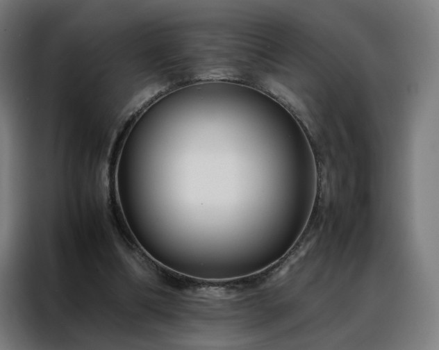 X0000088170298200705221627