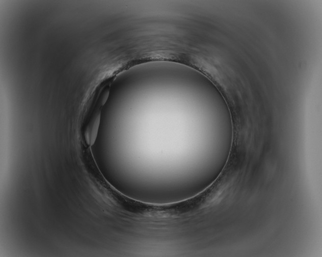 X0000088170299200705221627