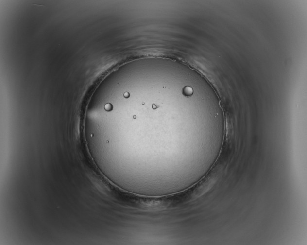 X0000088170301200705221627