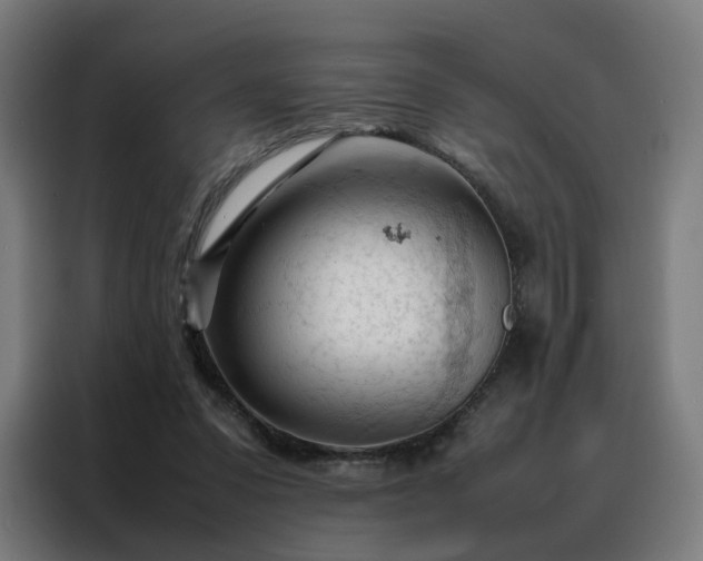 X0000088170303200705221627