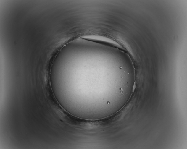 X0000088170305200705221627