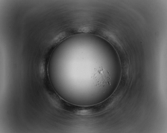 X0000088170312200705221627