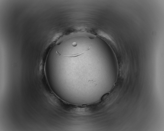 X0000088170314200705221627