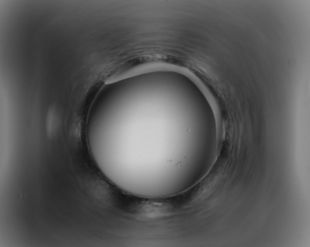 X0000088170315200705221627