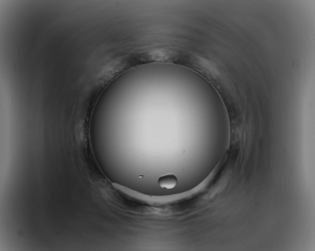 X0000088170317200705221627