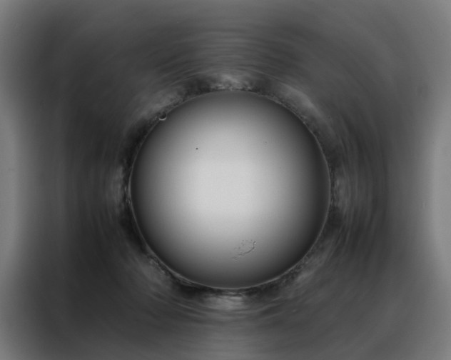 X0000088170318200705221627