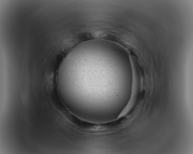 X0000088170319200705221627