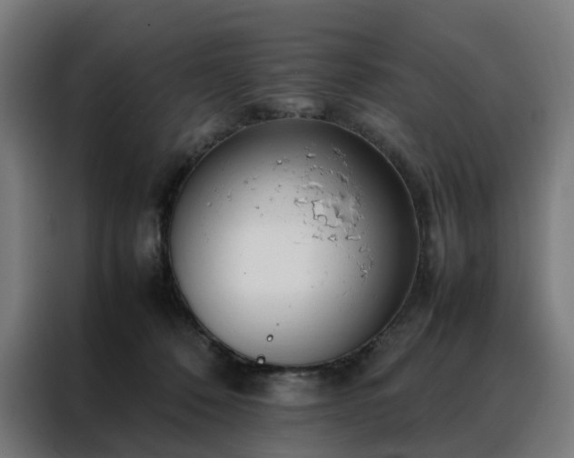 X0000088170320200705221627