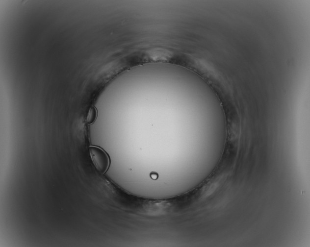 X0000088170321200705221627