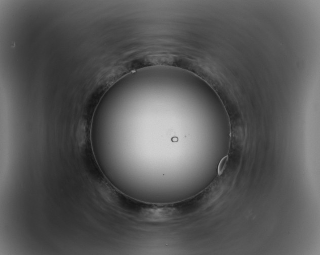 X0000088170323200705221627