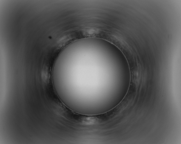 X0000088170324200705221627