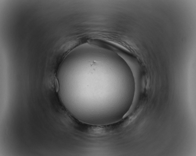 X0000088170325200705221627