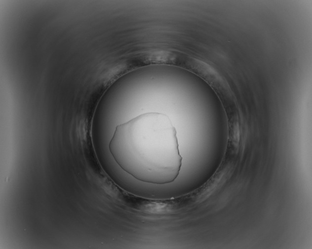 X0000088170326200705221627