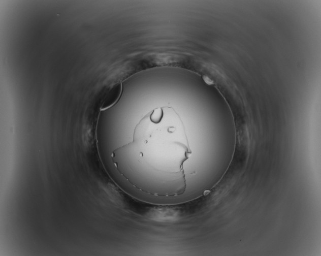 X0000088170327200705221627