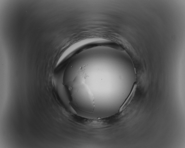 X0000088170329200705221627