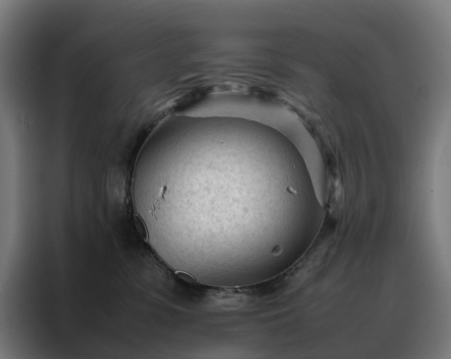 X0000088170331200705221627