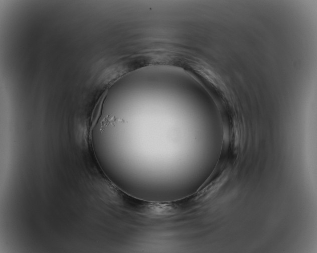 X0000088170333200705221627