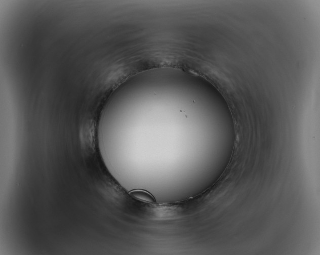 X0000088170336200705221627