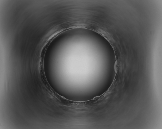 X0000088170338200705221626