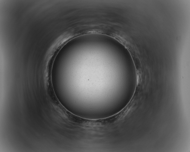 X0000088170339200705221626