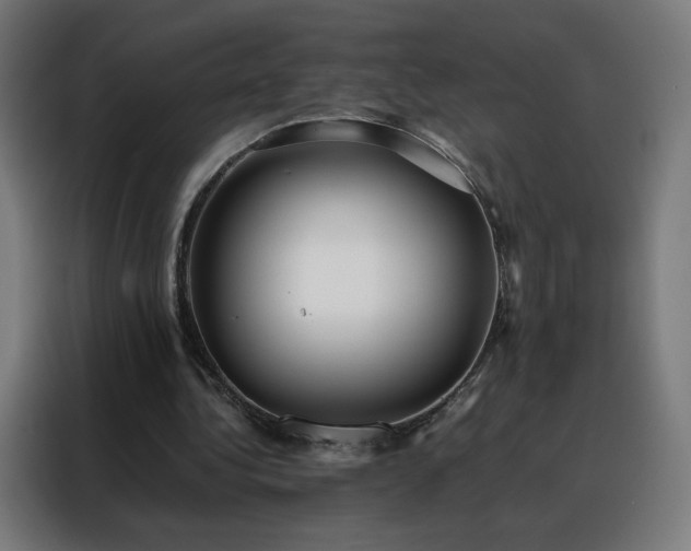 X0000088170340200705221626