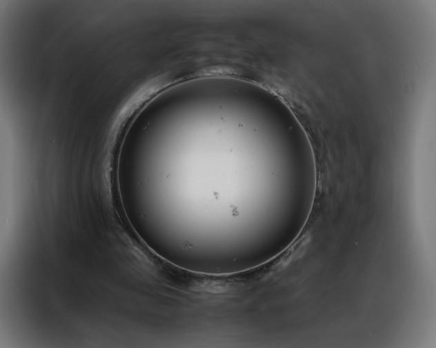 X0000088170341200705221626