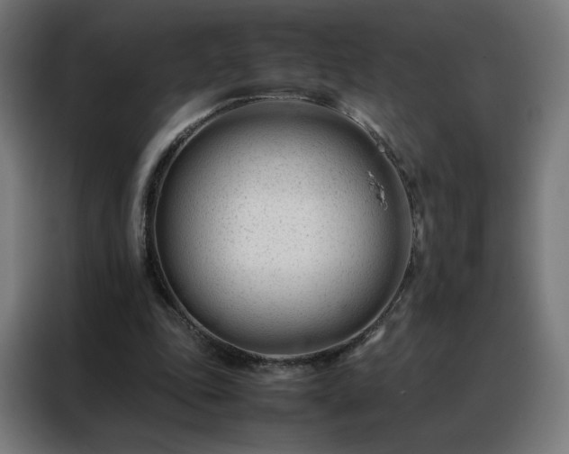 X0000088170343200705221626