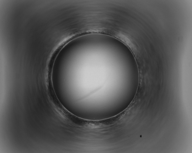 X0000088170346200705221626