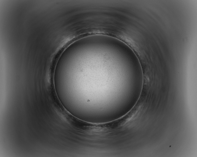 X0000088170347200705221626