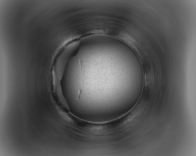 X0000088170349200705221626