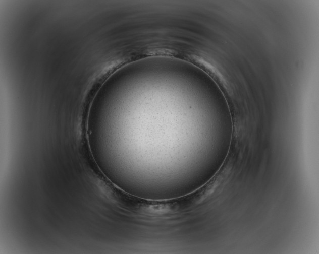 X0000088170353200705221626