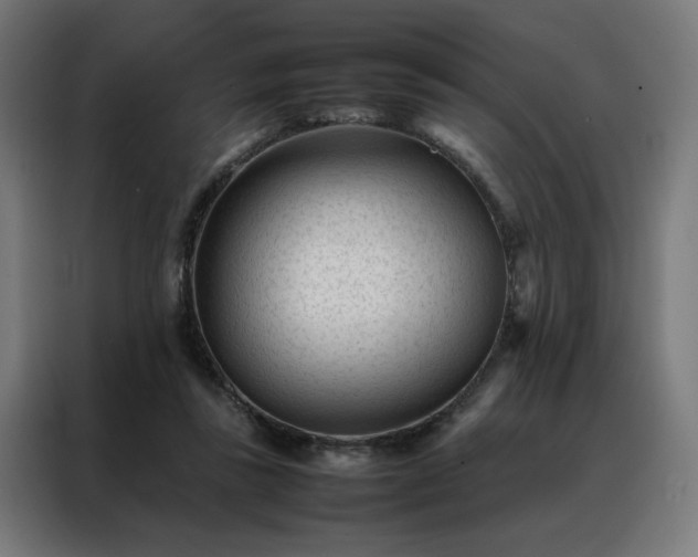 X0000088170355200705221626