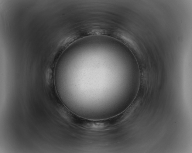 X0000088170361200705221626