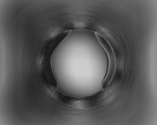 X0000088170364200705221626