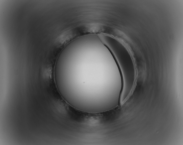 X0000088170368200705221626