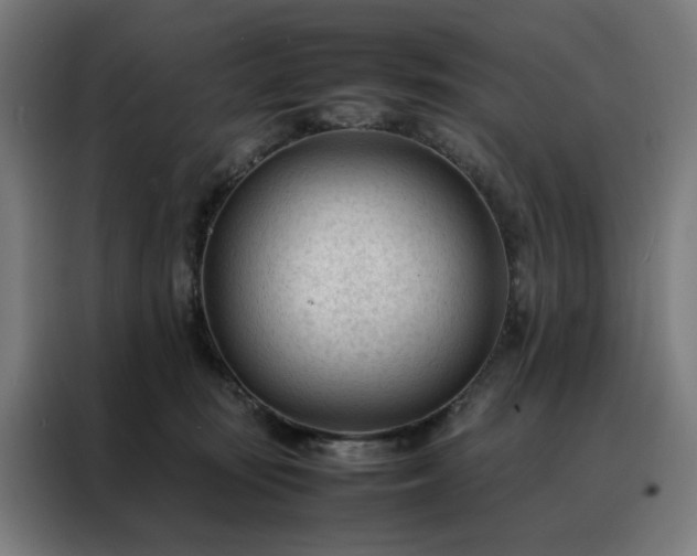 X0000088170371200705221626