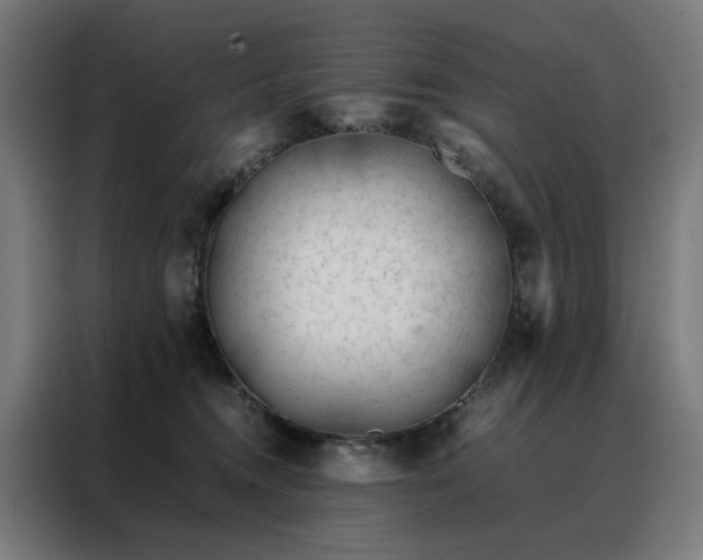 X0000088170372200705221627