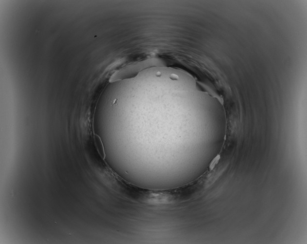 X0000088170376200705221627